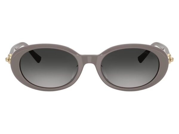 Tiffany & Co. 0TF4242D 84013C