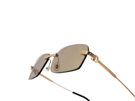 Cartier CT0271S - 009 - Imagem 4
