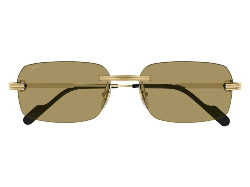 Cartier CT0271S 009 Cartier CT0271S 009