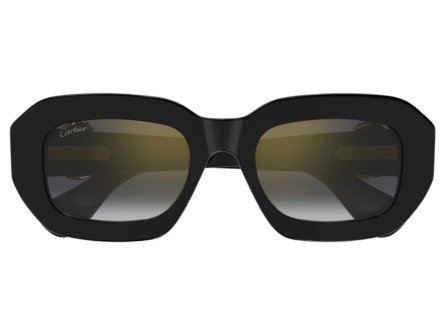 Cartier CT0546S 001
