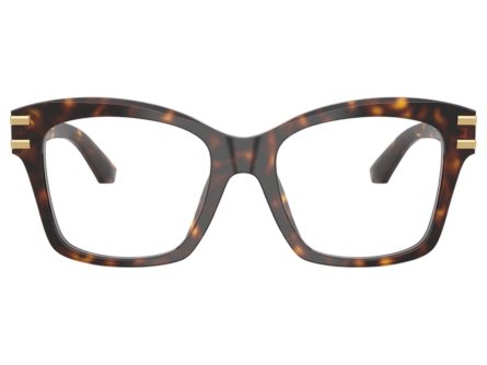 Dolce & Gabbana DG3419 502