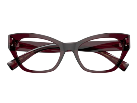 Dolce & Gabbana DG3385 3045