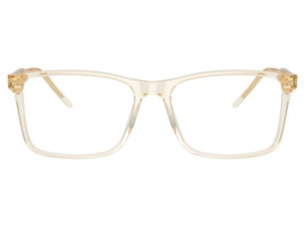 Giorgio Armani AR7258 6077