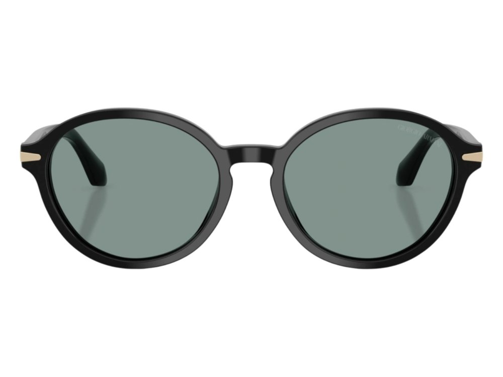 Giorgio Armani AR8237 587556