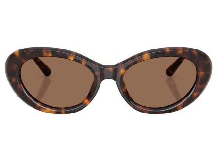 Dolce & Gabbana DG4519 502/73