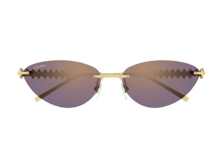 Cartier CT0543S - 004