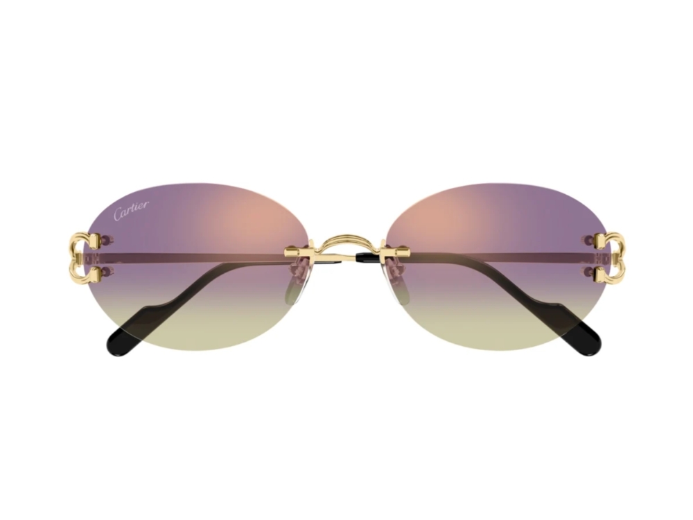 bottega-veneta-ct0551s-006-4