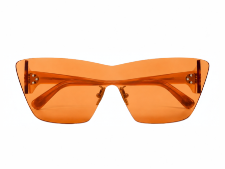 Celine CL40351U 42J